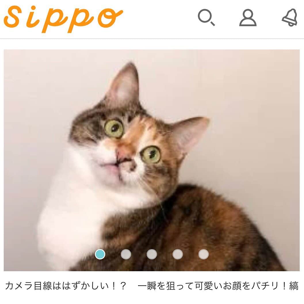 marikill66のインスタグラム