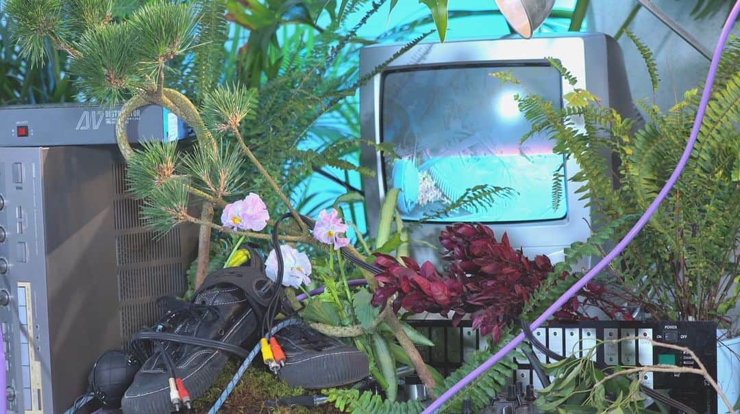 湯川正人さんのインスタグラム写真 - (湯川正人Instagram)「自分の新しいインタビュー映像がドロップされました。プロフィールのリンクからご覧ください！  去年のSTAB HIGHの裏側はもちろん、 自分の生い立ちから繋がる、 現在のライフスタイル全てを語っております。 今までアウトプットしてこなかったことを、 幼馴染である @kumekohei が全て引き出してくれました。  @vansjapan サポートのもと、 kumebrosから公開されております。 皆様に是非観て頂きたいです。」2月4日 21時47分 - masatoyukawa