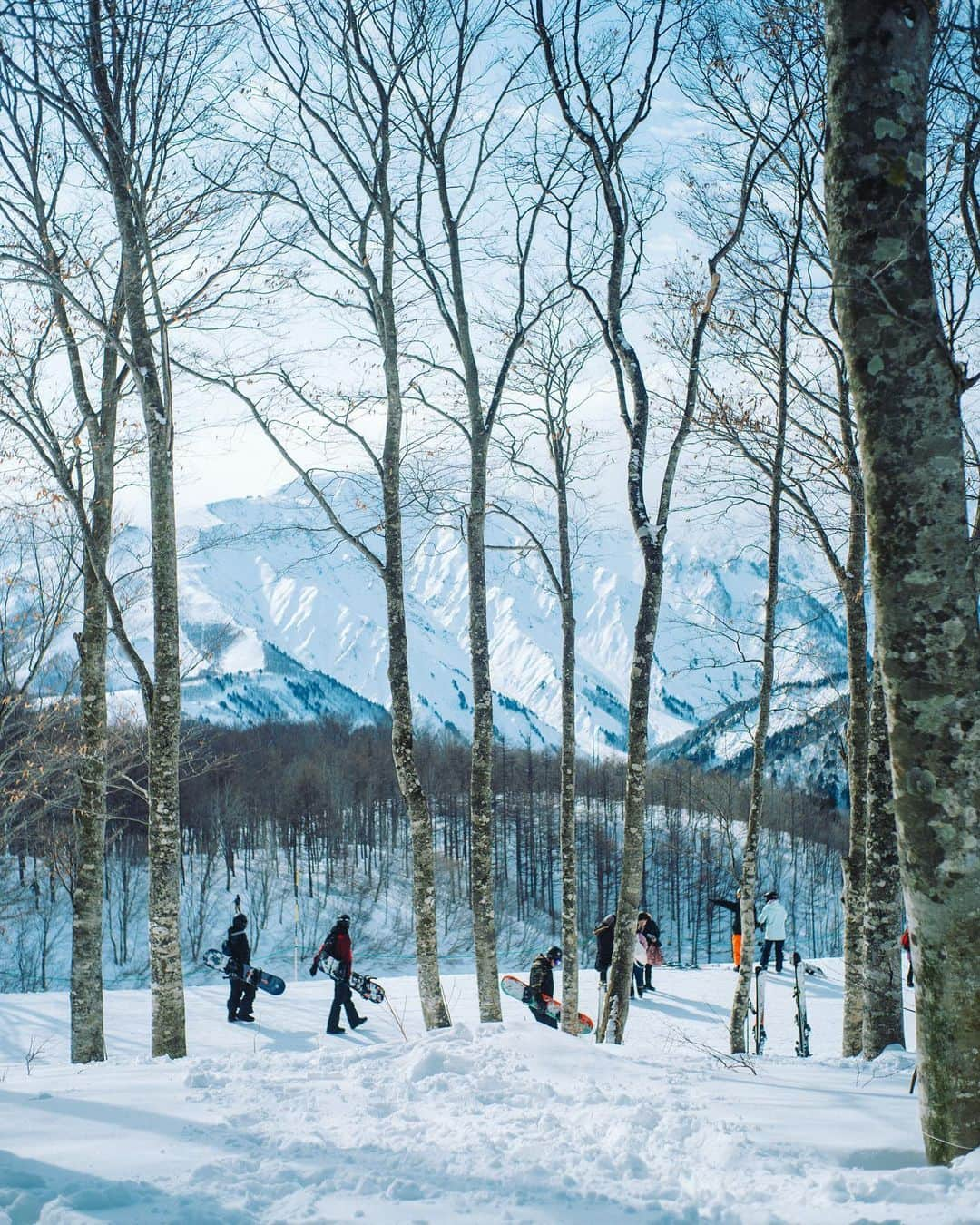 Naokoさんのインスタグラム写真 - (NaokoInstagram)「IWATAKE mountain resort @hakuba_iwatake 🏔 * 滞在していたホテル　@anahiresortkuroyon (通称くろよん)から無料送迎バスがあるので、岩岳スノーリゾートまで足を運んでみました！  リアルハイジになれます！！😆 最高に綺麗でした🤲  今回はホテルでお得な割引のある「S-CLASS」を体験してきました。  ・リフト目の前に駐車できる ・混んでいても並ばずリフトに乗れる優先パスがつく ・専用ラウンジ2箇所を使用できる  などなどワンランク上の過ごし方ができるんです。快適にウィンタースポーツを楽しみたい方はチェックしてみてください😉  そしてスキーはやらないけど、、という方やワンちゃん連れでもリフトに乗れるので、ハイジのブランコをしたり、雪遊びができるエリアで遊んだり、最高に眺めのいい　@citybakery_hakuba でランチをしたり、、😆🏔それだけでも最高の思い出になるはずです！  冬のお出かけのご参考に〜📝✨」2月4日 21時48分 - chiaoking