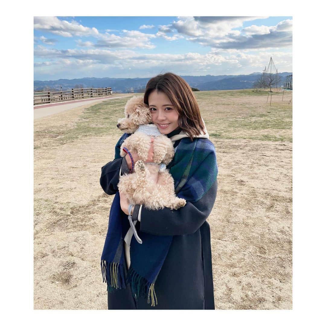 宮澤智のインスタグラム：「★ 冬の晴れた日の空気は美味しいですよね🍂 気がつくと呼吸が浅くなっているので たまに大きく深呼吸😮‍💨💨  #愛犬 #くっつくと暖かい #においもかげる」