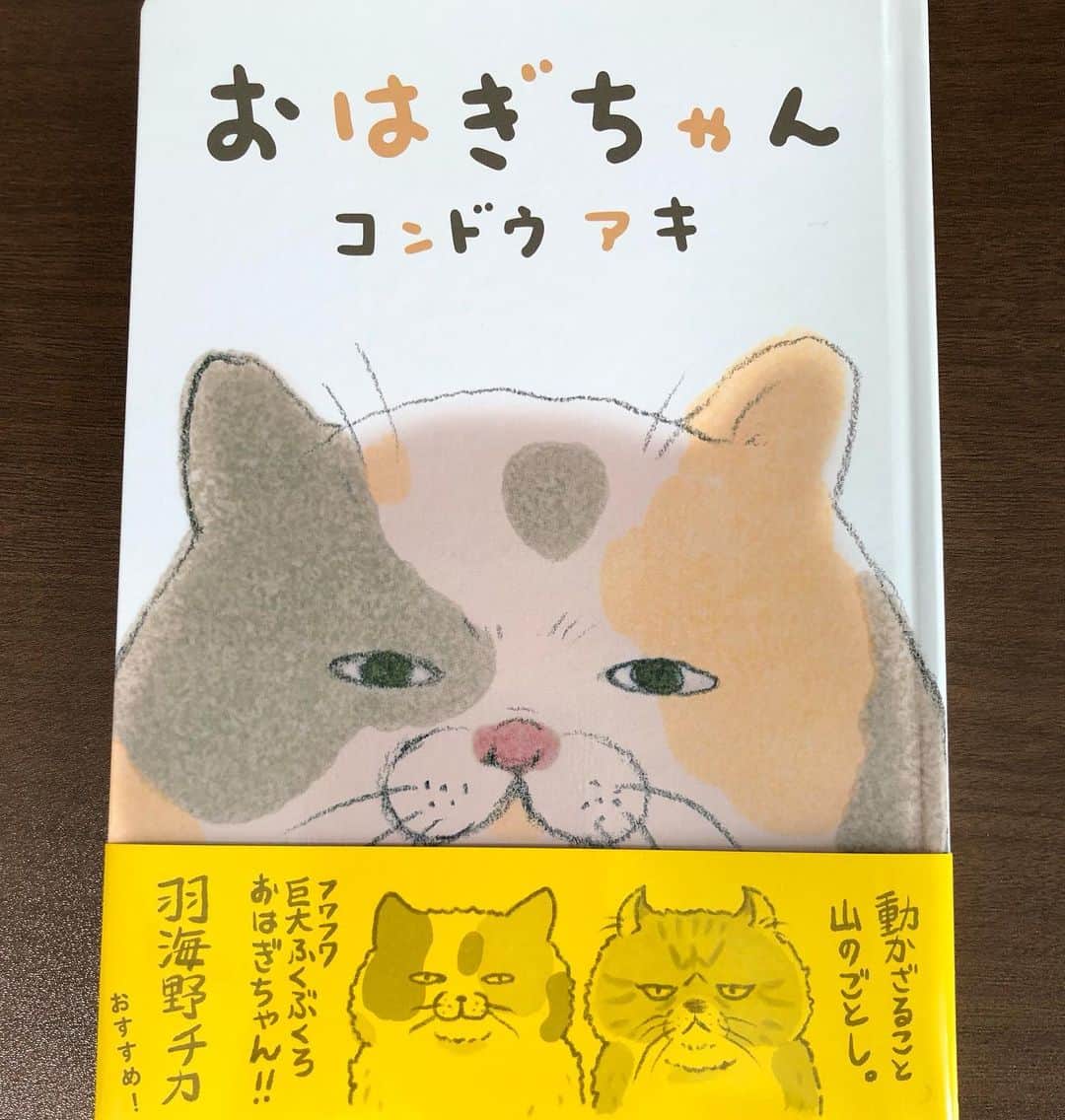 コンドウアキのインスタグラム：「できてきましたYO✨✨ 「おはぎちゃん」2/22発売です。 名久井直子さんが装丁してくれました。 すごくいい感じですので、ぜひ手にとっていただけましたらうれしいです。  帯はなんとみんなの猫母上⭐️羽海野先生と 超ぜいたく仕様です！  本屋さんや、ネット書店さんでは、ご予約始まってますので何卒何卒！  ほぼ日さんでは、ご予約はできないようですが、ほぼ日さんで購入するとおまけがつくそうです。  ほぼ日さんでは現在、「みなさんちのコのお名前の由来なんですか選手権」を開催しております。2/10までです。 みなさまのご参加お待ちしております！」