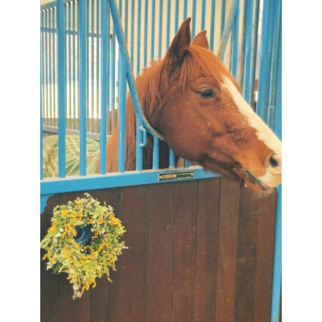 紗栄子のグルメインスタ