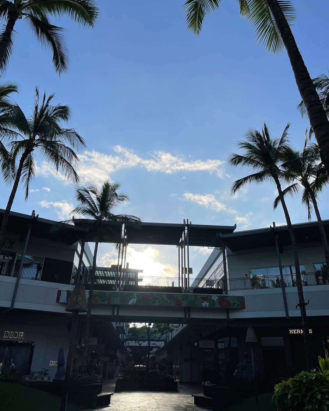 伊東美咲さんのインスタグラム写真 - (伊東美咲Instagram)「ハワイの朝。 皆さんおはようございます。今日も清々しいハワイです。雨季とはいえ、毎日過ごしやすい今日この頃です。 アラモアナショッピングセンターのロングス(薬局)やスーパーマーケットは朝早くからopenしているので、混雑を避けて買い物ができます。 それでは皆様良い一日をお過ごしくださいませ。  #Hawaii #アラモアナショッピングセンター #ハワイの朝 #ハワイ」2月5日 10時12分 - misaki_ito_official