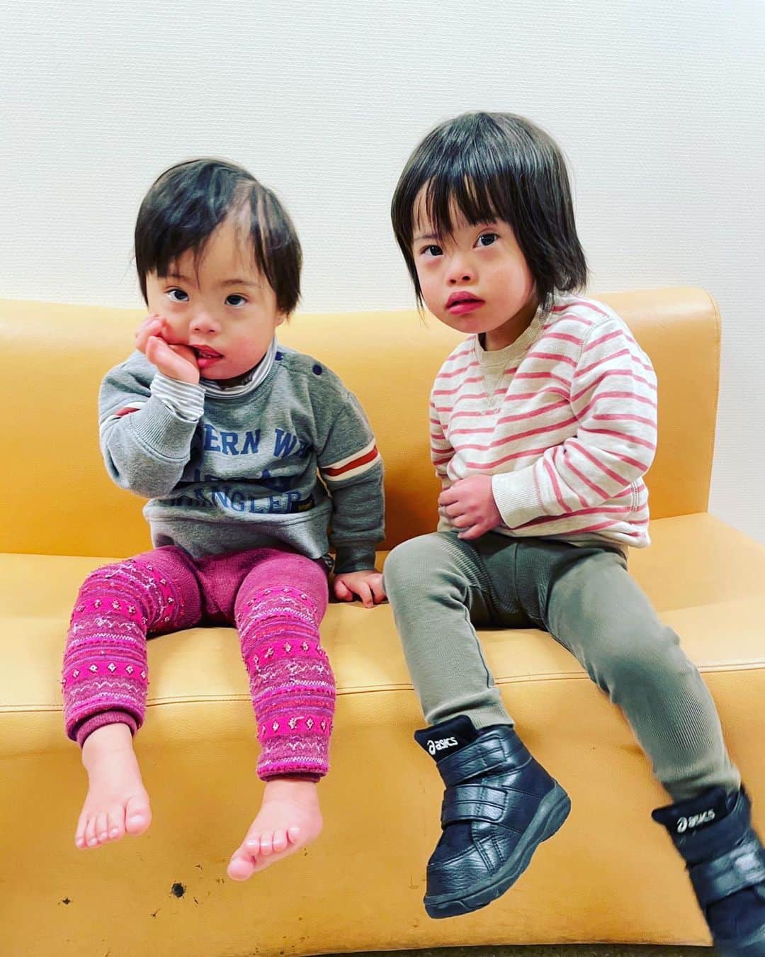 桜田聖子のインスタグラム：「先日、心臓の定期検診に行った時、お友達の、れいじくんに会いましたー💕  レイちゃん、すごく成長してたぁー❣️赤ちゃん感より、男前が強くなってる✨  レイちゃんママの真由美ちゃんとは、同じく、この病院の待合室で話しかけてくれて出会ったのが最初😊  その後も長期入院してた時に差し入れしてくれたり、ウチに遊びに来てくれたり、仲良くしてもらってます🍀  そして、検診の時に会う率も高い❗️ご縁があるんだね❣️  テルマは、レイちゃんにハイタッチしたり、ほっぺを触ったり、なんだかお兄ちゃん感出してました😉  ２人の成長が本当に楽しみ💕  病院の待ち時間が、幸せな時間になりました❣️  #downsyndrome #specialneeds #trisomy21 #ダウン症 #ダウン症候群 #トリソミー21 #3歳11ヶ月 #成長記録 #生まれてきてくれてありがとう  #心室中隔欠損症  #男の子ママ  #男の子 #boy #ダウン症ボーイ #trisomy21boy」