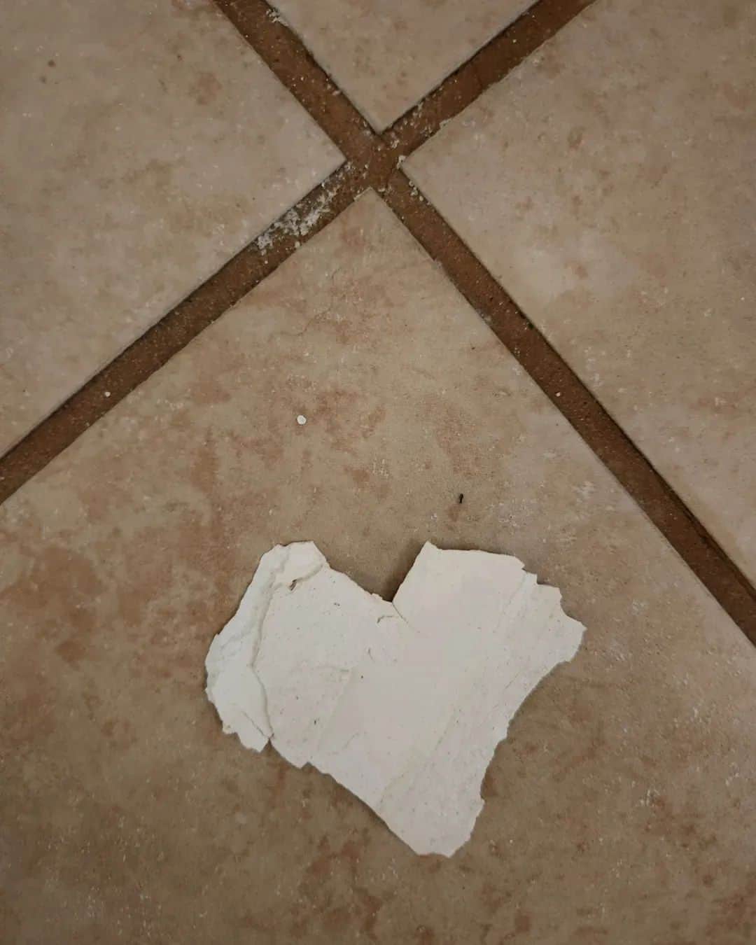 シャニン・ソサモンのインスタグラム：「sweetest bathroom grime i ever saw」