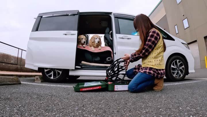 まゆみのインスタグラム：「。 。  I will practice how to attach tire chains so that I can take Ah-chan and Penpenco to the snow country anytime. 。 生まれて初めて購入した【自分用】タイヤチェーン🛞 もちろん付けたこともない😅【いつも応援団】 。 1番簡単なチェーンくださいって言ったら これをオススメされた 出来なかったら教えるから持って来てくださいと 言ってたので信じて購入した😂 。 家族に教えてもらおうという気持ちがないのがウケる😂😂😂 【プライド？】 ドヤ顔で言われると頭にくるし🤣 。 #可愛げゼロ #お店でビデオ見てきたので出来る気満々　😂😂 。 #いつでも雪国に行ける #準備万端 #男らしいw #あとはあーちゃんの体調次第」