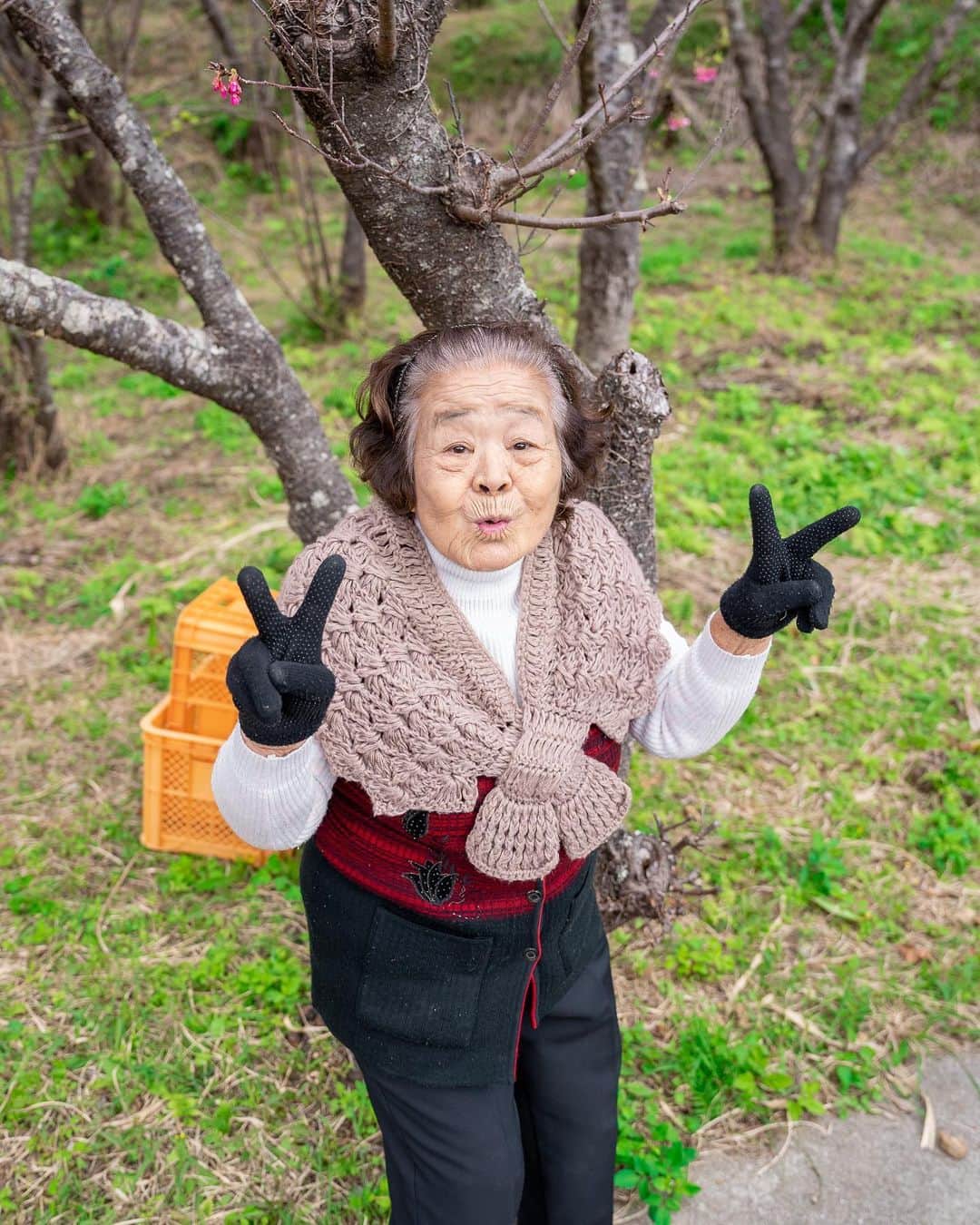 南の島のおばーと孫のインスタグラム：「桜祭りwith おばー  model : ober hair : original clothes : no brand photographer : mago  #桜まつり #沖縄 #桜 #コーデ紹介」