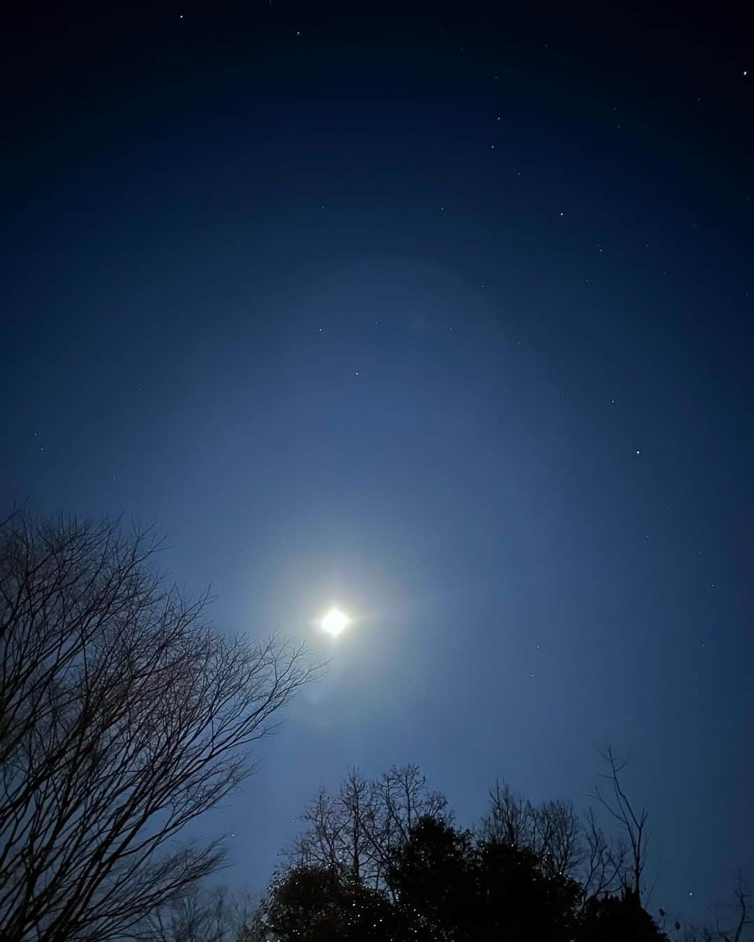 樋場早紀さんのインスタグラム写真 - (樋場早紀Instagram)「こんなに眩い月明かりを見たのはいつぶりだろう☆」2月5日 22時55分 - saki_toyoba