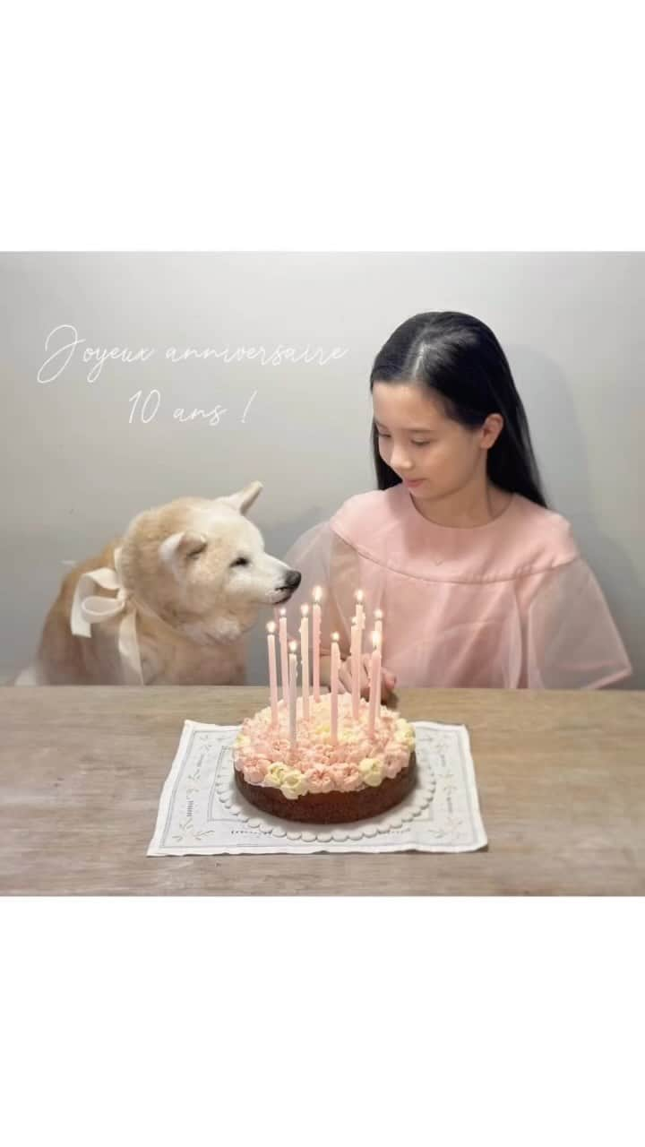 フィロとポンポンのインスタグラム：「Happy Philo’s 10th Birthday feat. Pompon.💕」