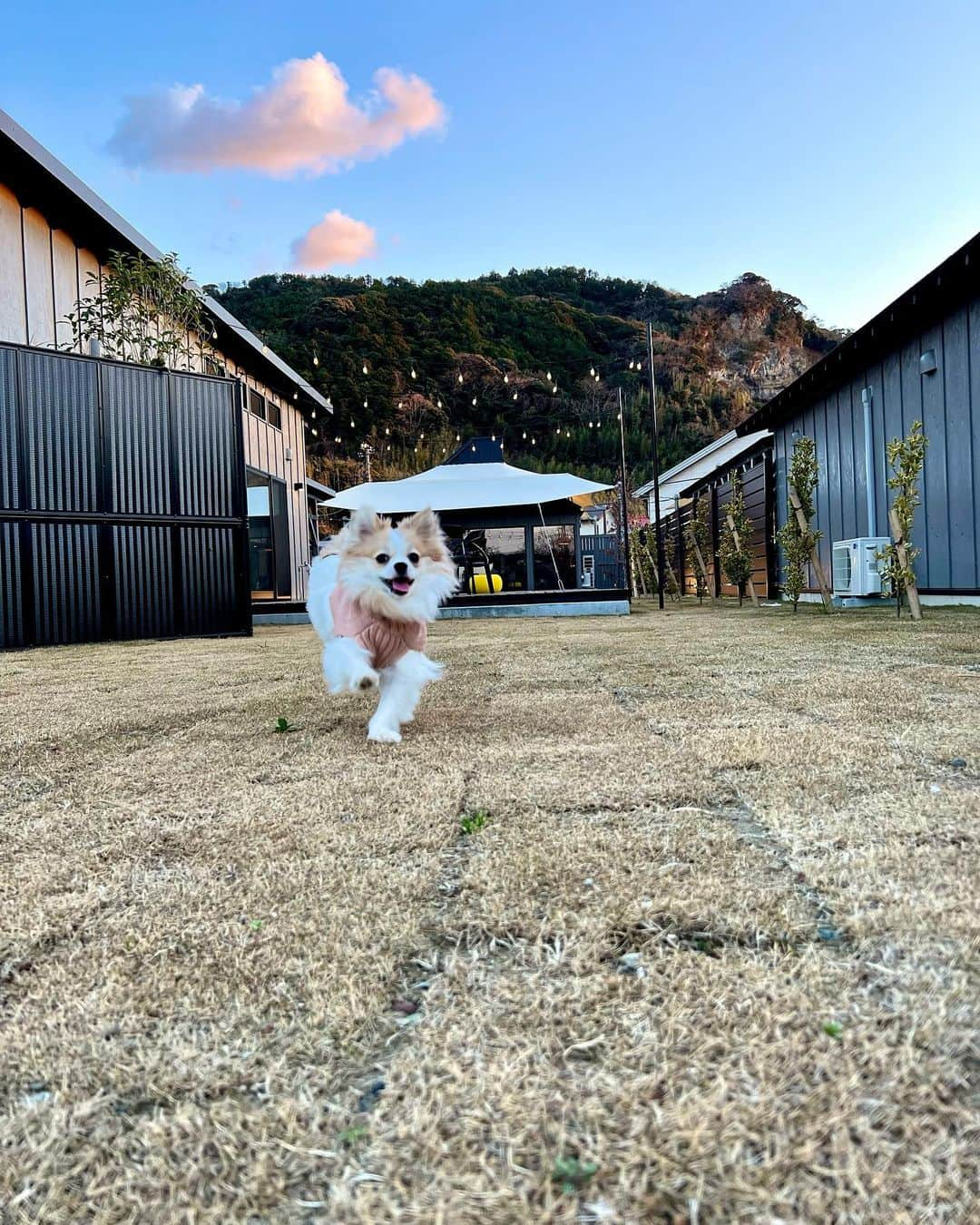 藤巻紗月のインスタグラム