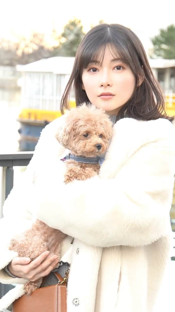 早田悠里子のインスタグラム：「犬とたくさん遊んだ休日🐶 一眼レフで撮ってみました🥰 よかったら音ありで聞いてください🥹♡  #休日 #休日コーデ #トイプードル #散歩コーデ  #麻布十番カフェ #銀座カフェ #渋谷カフェ #青山カフェ #ドッグカフェ #ムートンジャケット #ブルベ夏 #女医 #女医の日常 #浜松町グルメ #竹芝」