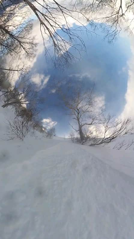 岡本圭司のインスタグラム：「白馬バックカントリー。 この日はしばらくの間雪も降っていなくて、ピクニックがてらチームで登った先に、北斜面の雪がまだ生きてて、雪崩の心配も少なかったので、ゆっくりと影になったツリーランを楽しんだ。 すねパウ位だったけど、柔らかいところを滑れただけでチームはハッピー。 最近はバックカントリーでの事故を良く聞くけど、本当に装備と知識がないと危ないし、もし自信がない場合は絶対にガイドさんをつけたほうがいいと思います。 自分達もたまにガイドはお願いするし、それでも危険は0では無い。 特にスキー場のロープには重要な意味があります。 自分達が原因で誰かに危害を与える可能性もあるので、ロープの意味だけはしっかり考えたいですね。 ちなみにスキー場はしっかり管理されているので物凄く安全です。 普段から管理してくれるスキー場やパトロールには心から感謝します。 Camera: insta360 ONE X3 #backcountry #バックカントリー #白馬 #hakuba #werideforever」