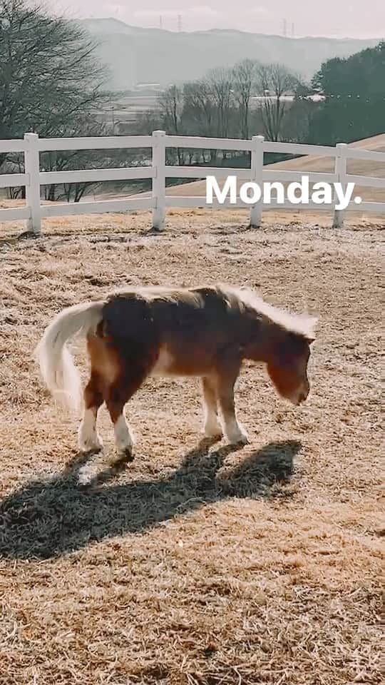 紗栄子のグルメインスタ