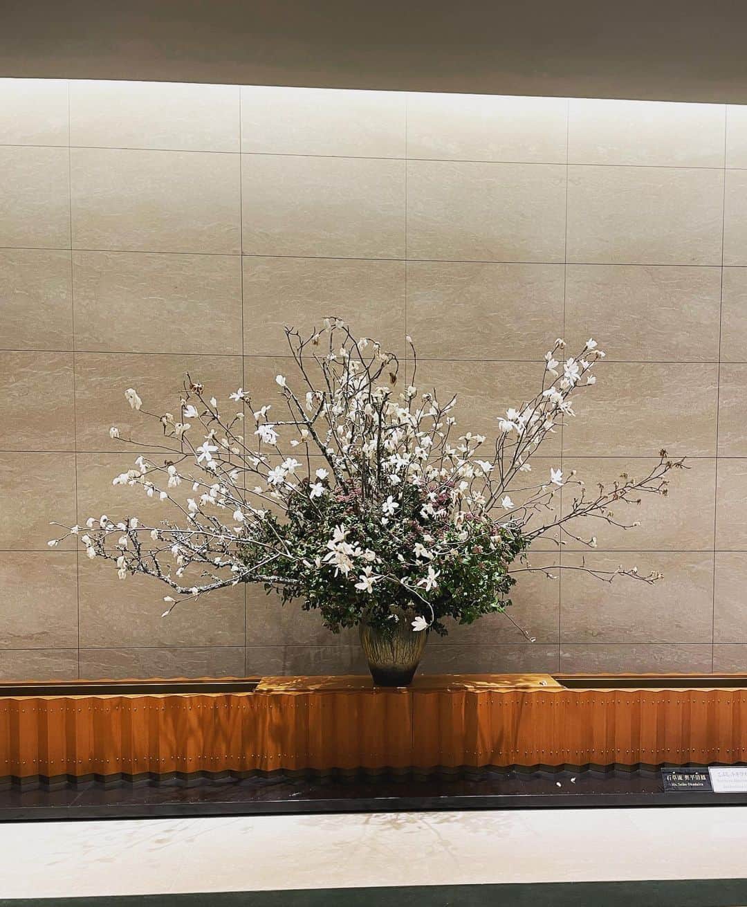 麻生あくらのインスタグラム：「Bienvenue 🌹  気の良いオークラ、 気持ちの良いオークラ  Home🏡🏨♡  #theokuratokyo #okuraprestige #okuraheritagewing #home  #ジオークラトーキョー　#ホテルオークラ東京 #山里 #akurarobeboutique #アクラローブブティック」
