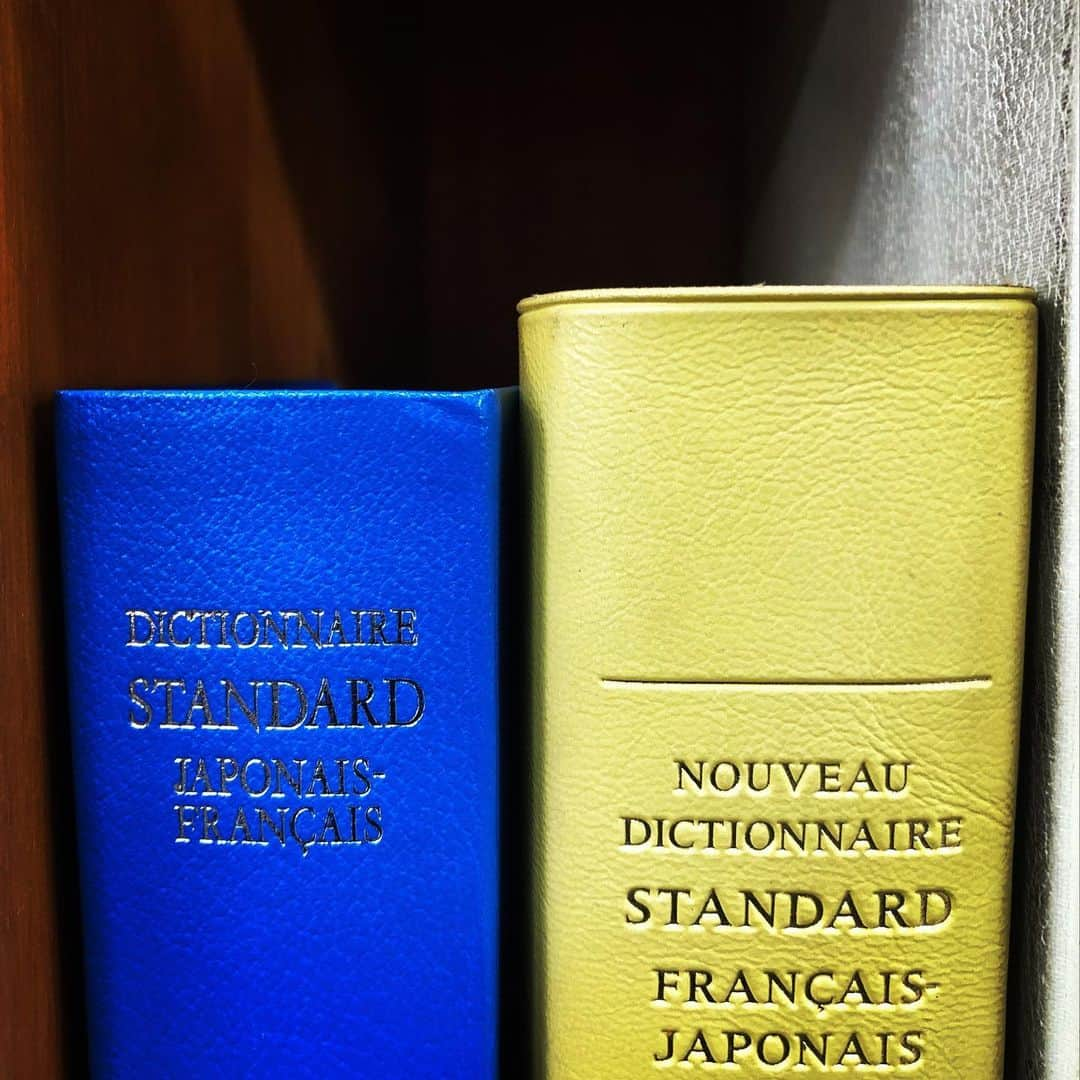 川口花乃子さんのインスタグラム写真 - (川口花乃子Instagram)「辞書の背表紙ってときめく #dictionary」2月6日 18時33分 - canocokawaguchi