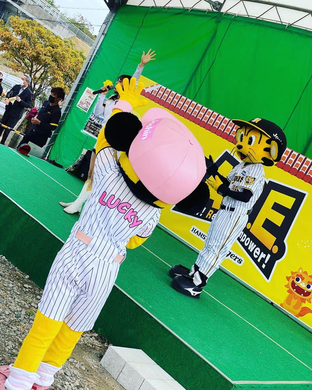 竹中知華さんのインスタグラム写真 - (竹中知華Instagram)「明日の華天なんでもランキングは、 【阪神タイガースの春季キャンプで販売されている人気グッズベスト3】です。 １位と３位が　誰々の名前が入った〇〇でした。この１位と３位を当ててください。２位は予想しなくていいよ🤎🤎　阪神ファン有利ね☺️ 件名→ランキング hanaten@rokinawa.co.jpへ #雑草」2月6日 18時55分 - tomoka119