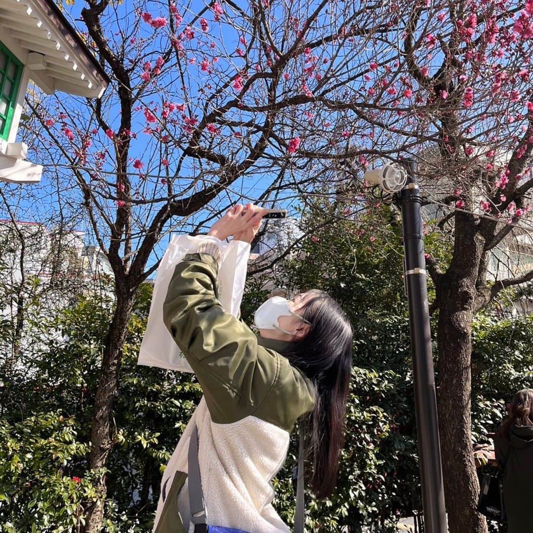 のインスタグラム：「で、  階段の途中で梅の花を発見❕  手前の花にピントが合わず必死にカラダを反り、ピントを合わせようとするが  これ以上反ったら蒲田行進曲の階段落ち状態になる予感がした為  ピントはあきらめてパチリ📸✨  #田無神社 #梅の花 #梅」