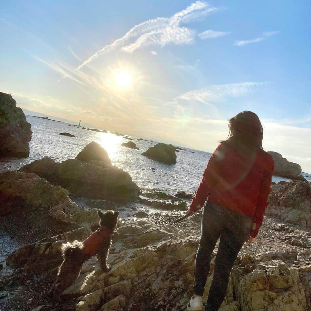 石井美音奈のインスタグラム：「Noahと見た最高の景色💕     #ワンチャン#海 #神社巡り  #doglife #doglover #ocean #oceanlife #oceanlover  #ニッパーのお友達」