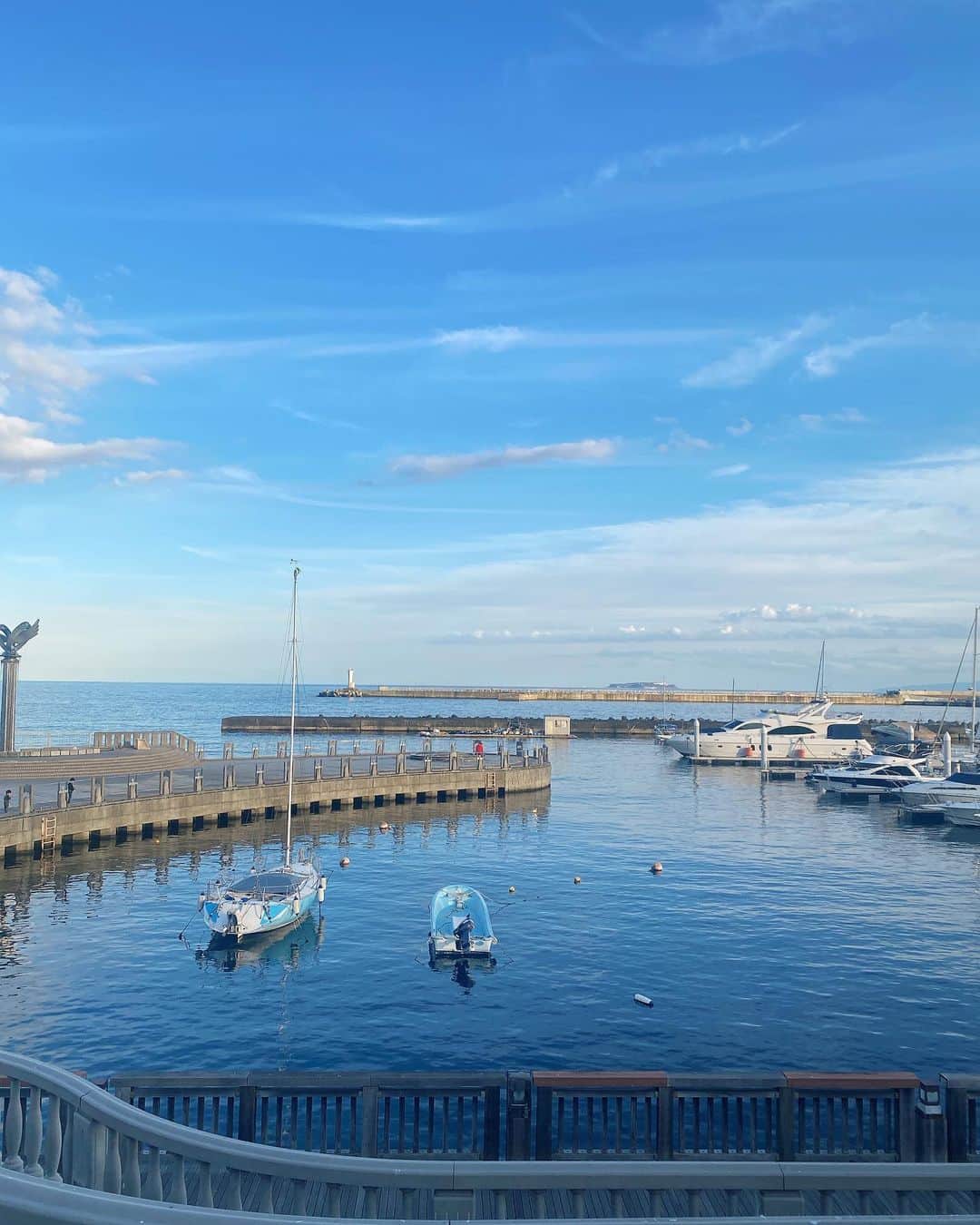 道岡桃子のインスタグラム：「🌊  疲れたので、海を見にきました✨  海育ちなので、安心します😮‍💨  どこの海でしょう？  #海 #海辺 #水 #桜  #夕焼け #夕焼け空」