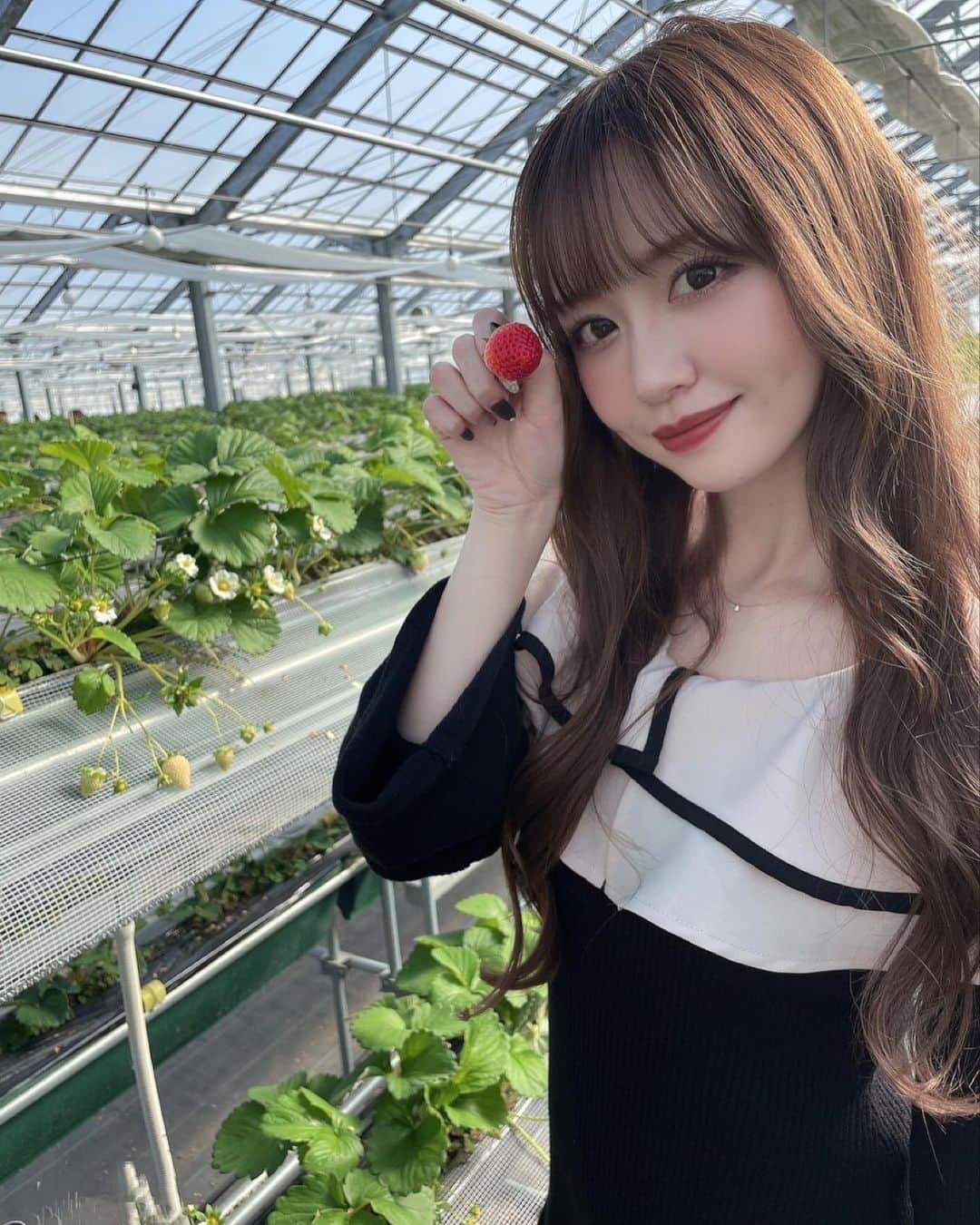 のインスタグラム：「佐賀へいちご狩り行ったよ🍓🤍🤍 多分これからの時期もっと赤いイチゴも増えそう🫧💭  #いちご狩り」