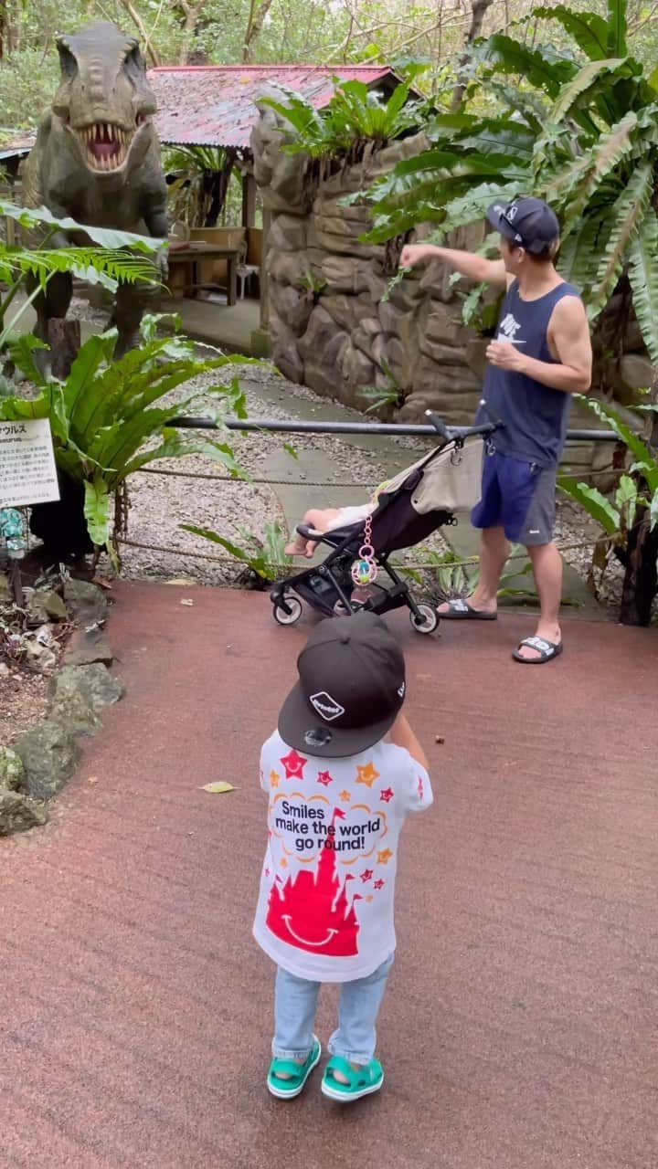 のインスタグラム：「かなり前の映像ですが フルバージョン 個人的にはハナちゃんからのにゃんちゃんの🥺🥺の表情がツボww」