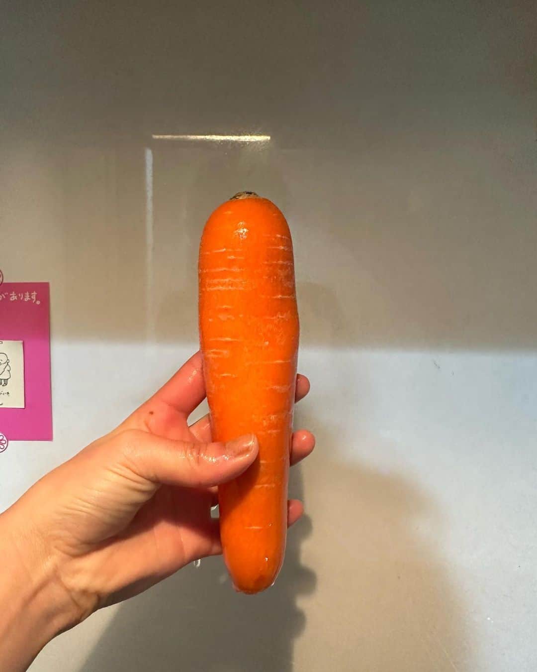 Mayuriのインスタグラム：「いちいち　にんじん おねがいします。🥕」