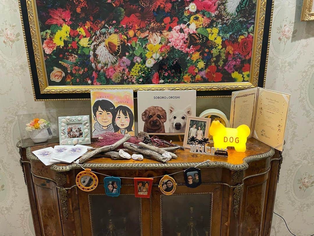 鈴木千代のグルメインスタ