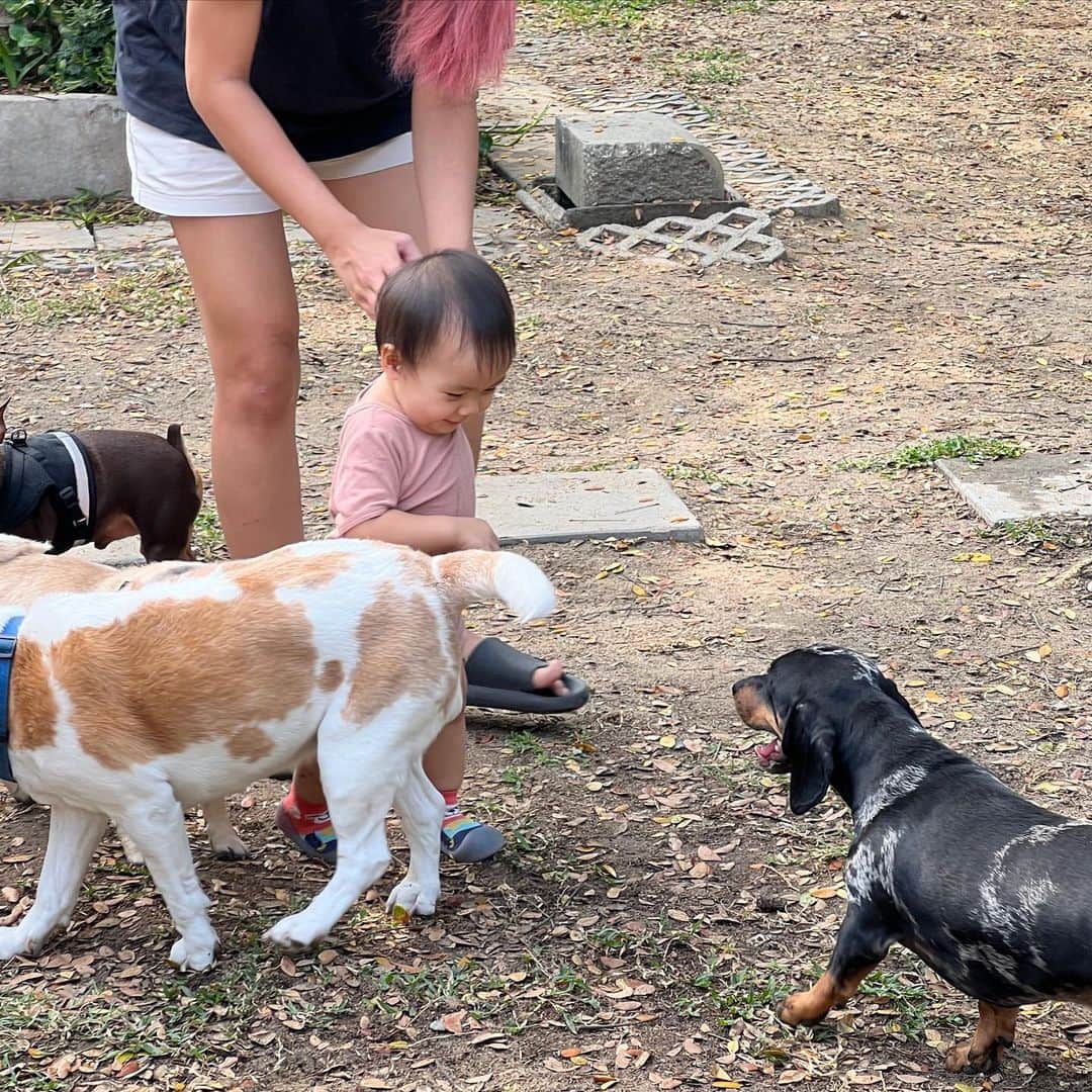 Hoykong&Plamuekのインスタグラム：「Sniff sniff little human friend ❤️」