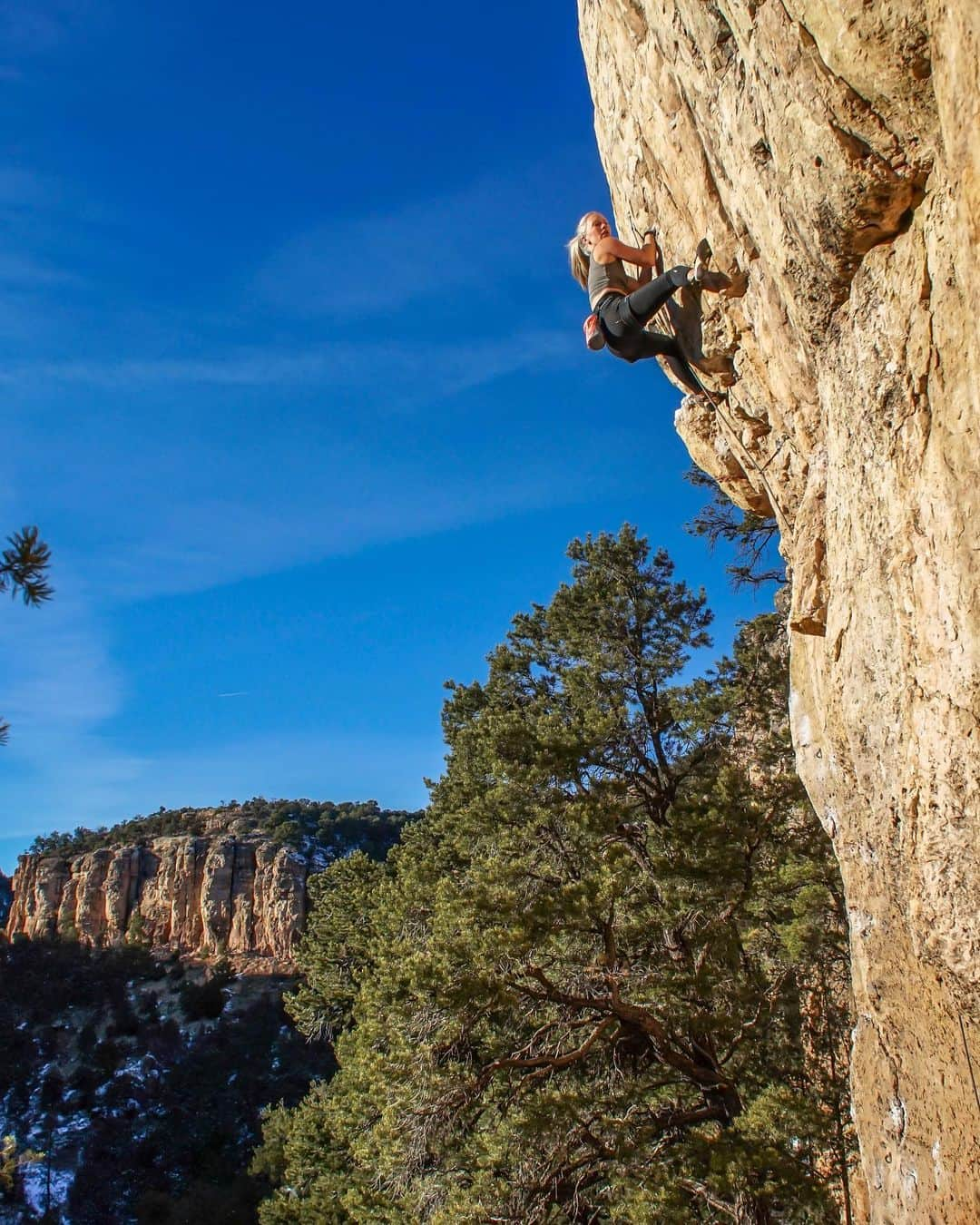 チェルシー・ルーズのインスタグラム：「One of my biggest joys in my life is sharing the sport of climbing with women and other gender minorities.   I’ve worked extremely hard to create offerings to the community, particularly for women and gender queer folks, that hold safe space for people to come learn just as they are. I teach so that these humans learn to develop more autonomy over their own decisions within sport, safety and confidence. I teach in a way that produces results over time so as to protect their energy versus take from it.   I absolutely love my work.   I have two group events that I’d love for you to join me in:   1. Femme Foundations level 1 @g1climbing. This program focuses on teaching foundational technique (footwork and hip integration) in a group environment that encourages autonomy and courage. It’s a great space to meet others and create more community. Two spots remain for Feb 8 start date. Program is 4 weeks. You do NOT need to be a member of G1.   2. “Camp” and Climb with me and @shesendscollective in Shelf Road, Colorado. We have an airbnb - so no need to worry about cold camping! This event addresses mindset and fear management skills, how to mitigate risks while climbing outdoors, and learning personal risk assessments to help you navigate what YOU want to do or not do. Thaw dates for this event are to arrive Friday, February 24 in the evening and depart mid day, Sunday Feb 26.   Both registration links can be found in my bio.   Please feel free to share if you have friends who you think would benefit from these programs   ❤️ forever grateful」