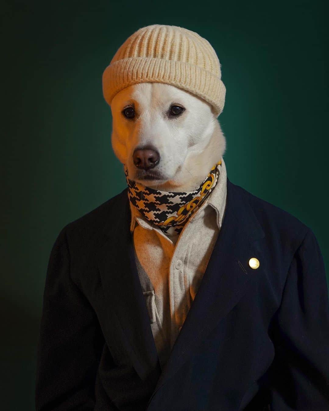 Menswear Dogさんのインスタグラム写真 - (Menswear DogInstagram)「Serious Question: Is it a hatto day or a no hatto day?   Pls advise 👇」2月7日 5時05分 - mensweardog