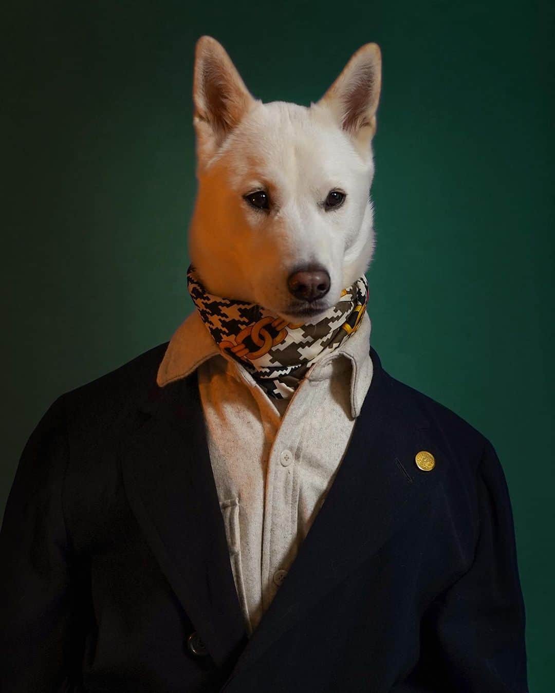 Menswear Dogのインスタグラム：「Serious Question: Is it a hatto day or a no hatto day?   Pls advise 👇」