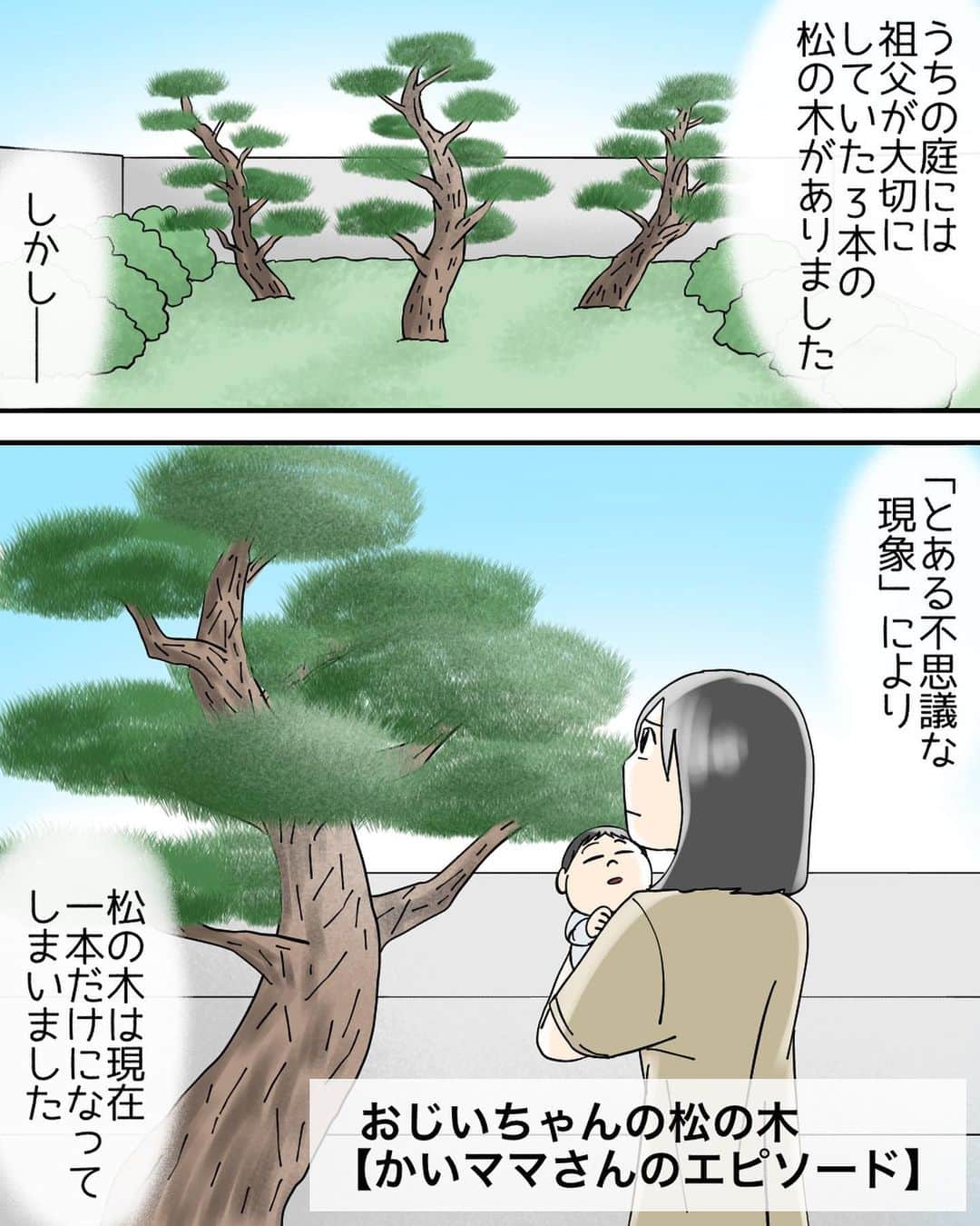 のインスタグラム：「やっぱりおじいさんはわざと残してくれたんじゃないでしょうか。  新しい命、かいママさんの息子さんのために。  ボクはそんな風に思いました。  かいママさんのエピソードは以上になります。  @babareo2 のプロフィール欄かストーリーズからブログへ飛ぶと一話先読み出来ます💁‍♂️ ・ ・ #漫画 #まんが #マンガ  #インスタ漫画  #エッセイ漫画」
