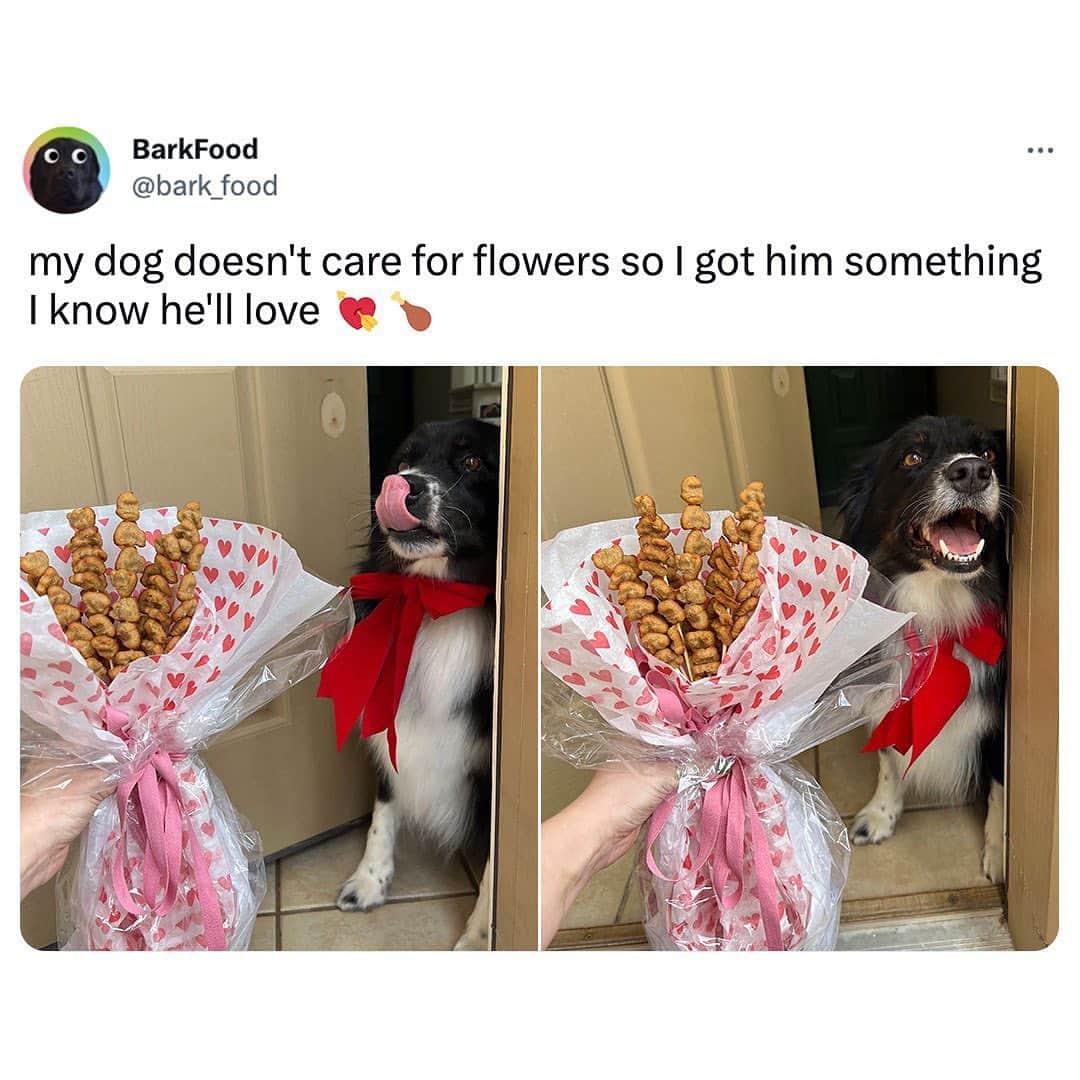 BarkBoxのインスタグラム：「IS THIS NOT THE MOST ROMANTIC THING YOU'VE EVER SEEN?? 👀 💓   Count on us to know the right way to your dog's heart....through our popcorn chicken! These crispy chicken nuggets are the perfect ~romantic~ kibble topper or high-value treat. Tap the link in stories to nab your dog some nuggies. 🍗 💗   And now the moment you've all been waiting for...this one lucky pup will be getting a TUB (200 bags) full of popcorn chicken:   @marshmil0w hope you & your adoptable friends enjoy a tub full of popcorn chicken!  📷: @eliza_reinhardt & @bark.food  #giveaway」