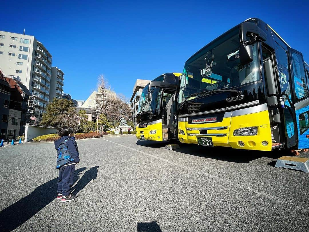 友稀サナのインスタグラム：「相も変わらずバス狂いの兄。 出先で最推しのはとバスに遭遇🚌👏🕊 家にはとバス何個あんの？って程色んなタイプのはとバス持ってるけど、実物をこんな間近で見るのは初めてだから喜び過ぎて奇声発してた😇ｷｪｴｴｪｴ . あっちこっち見て回る息子にガイドさんが車内販売のオモチャ見せてくれたもんで、しっかり購入😇(新たな営業) 全然良いんだけどね。 「好きな物」があるのはとっても素晴らしい事だと思う😌 大人しく座ってられる気がしない…と、まだ乗せてあげた事ないからなぁ〜🤨 そろそろ行けるか？？🤔 こんだけ好きなら乗せてあげたいって気持ちは重々あるけど、、、🫠 まずは1時間の東京観光コースから始めようか🫣‼️ . . . #はとバス#はとバス大好き  #バス狂い#バス大好き#バス男 #バスに溢れる家#売るほどある #車好き#乗り物大好き  #男の子だねえ #最推し#遭遇#感情爆発 #推し事#推し活 #推しのいる生活  #アンパンマンとバスに狂う子供達 #女子組暇だから自撮り」