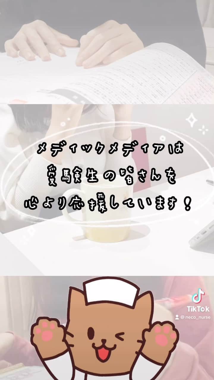 ネコナースのインスタグラム