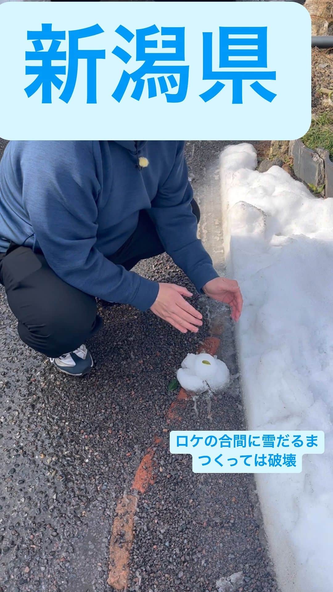 のインスタグラム
