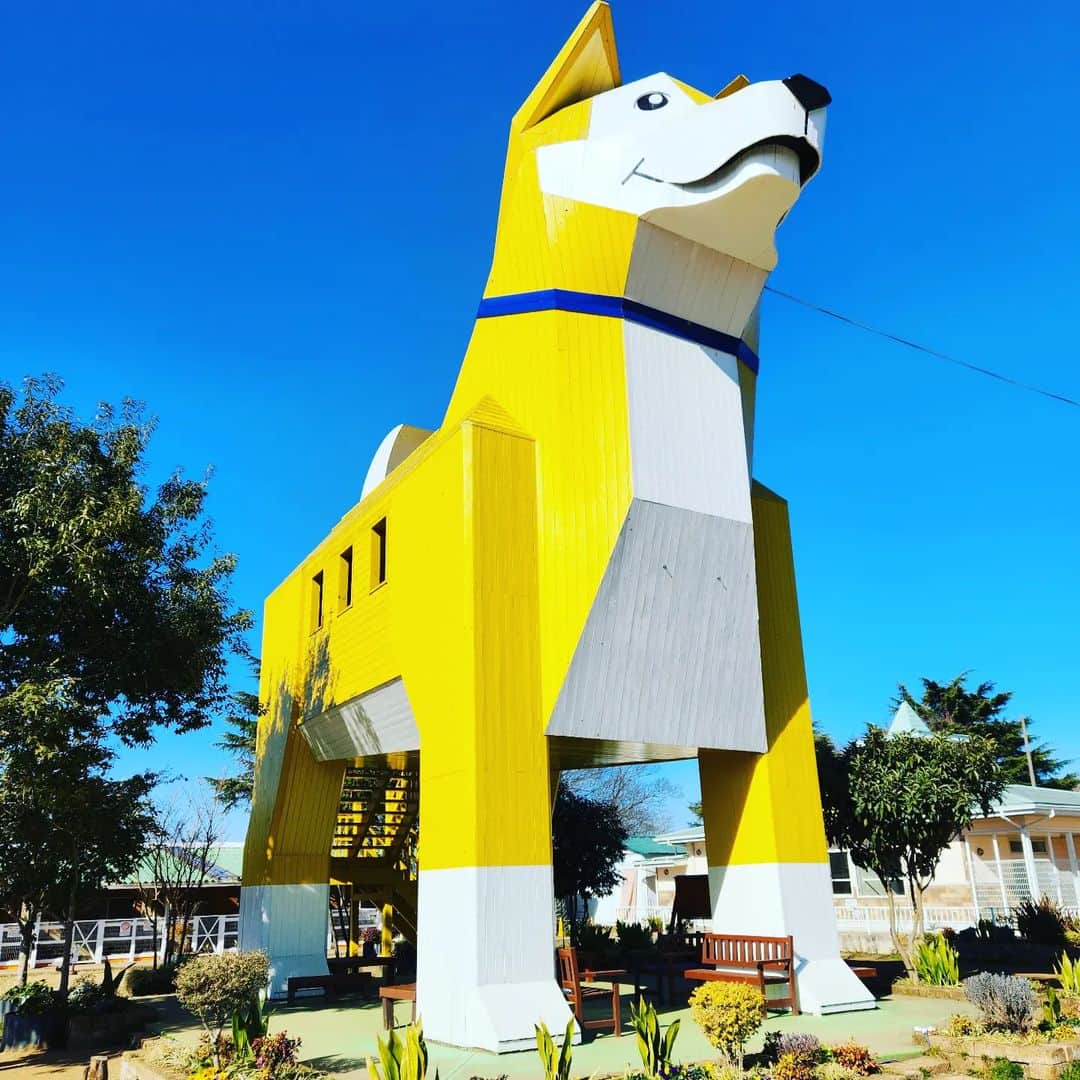 幸宮チノのグルメインスタ