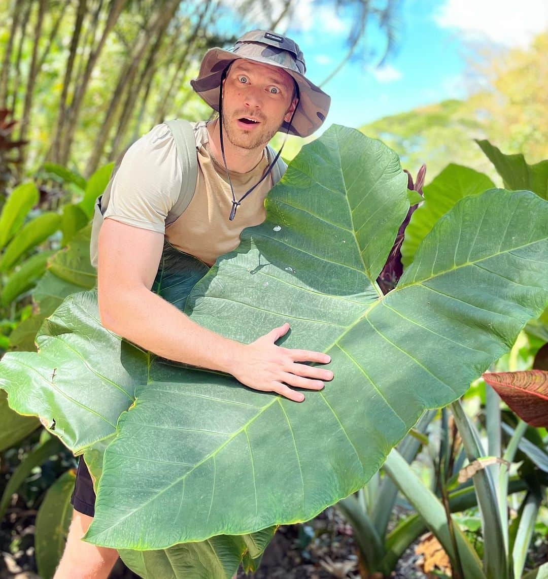 デレック・テラーのインスタグラム：「Big leaf energy 🌱」