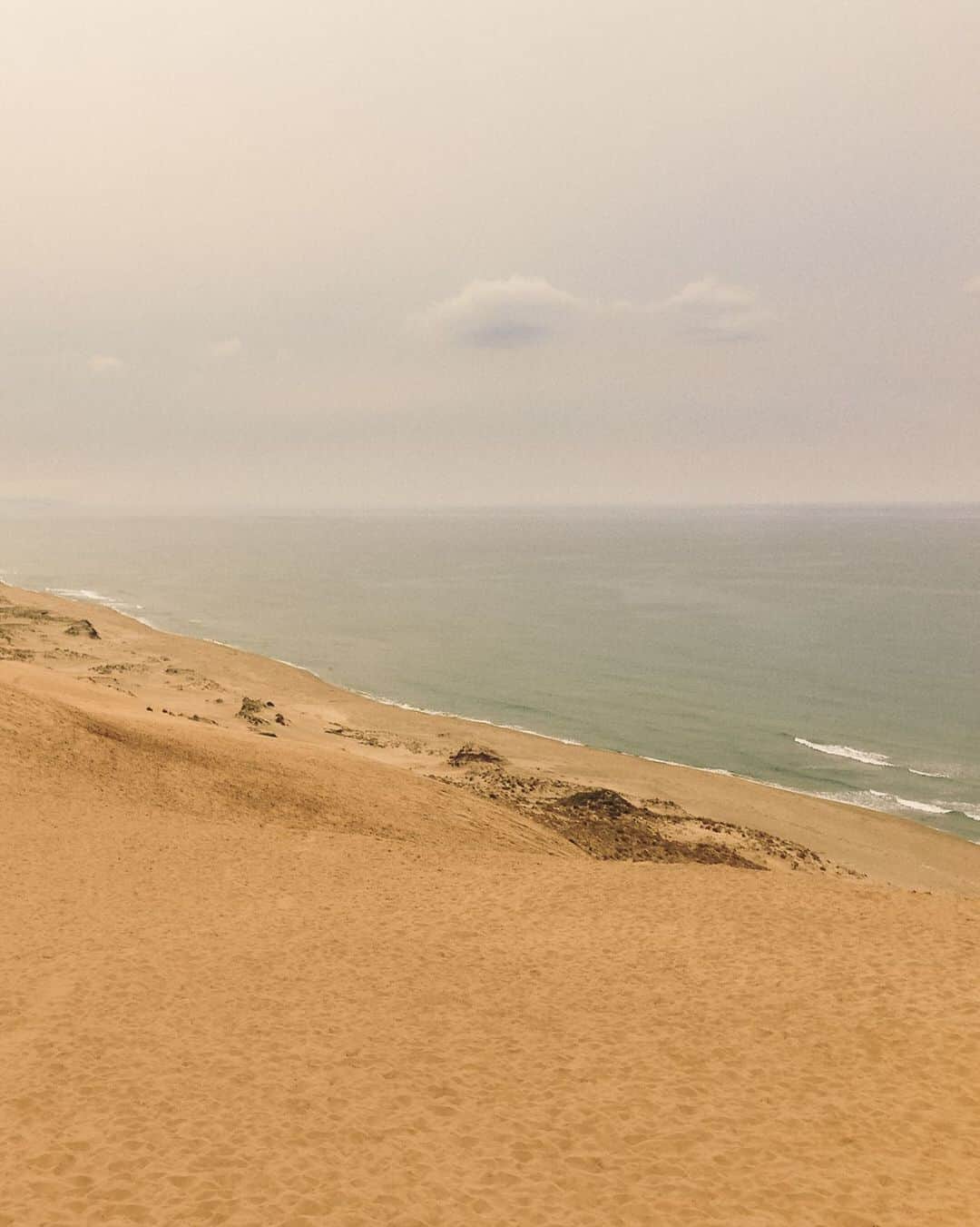 _msy_tのインスタグラム：「Dune scenery.」