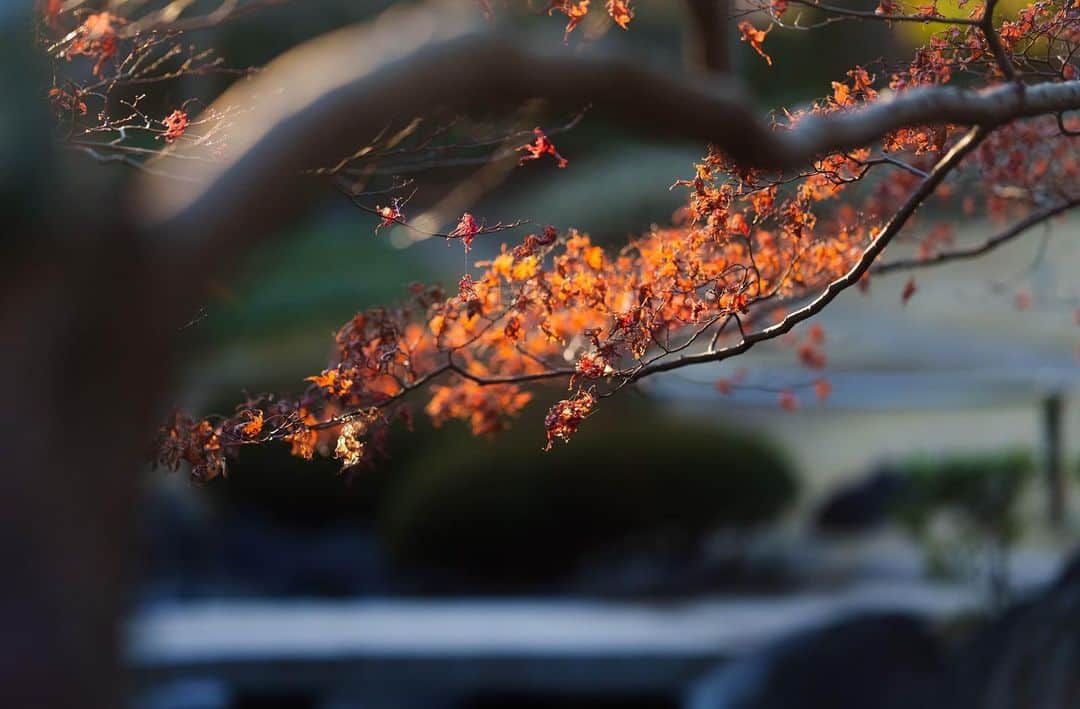 田村良太のインスタグラム：「今日から「MINORU scrape the sky」っていうミュージカルの制作ワークショップが始まりました。 ジャンバルジャンの2倍くらいの分量の歌をうたいます笑  そんでもって、音が激ムズです笑 土曜日にとりあえず今の状態の作品をお見せする機会があるのですが、間に合うのかとても不安です笑 ま、だからこそ頑張りがいがあるんですけどね！  にしても建築家って素敵だなと。 その街の景色を作るってどんな感覚なんだろ。 巨大なビルとか。  みんなが見上げて写真に撮ったり、遠くから見て指差したり、実際にそのビルの中で生涯働く人がいたり。  その街に自分の仕事の成果が残るっていう感覚が自分がやっている仕事と遠すぎて想像が追いつきません☺️  舞台人は何も残さないですからねぇぇぇ 強いていえば、みなさんの心の中に大きな大きな何かを建てられていればありがたいな、と思うばかりです🌆」