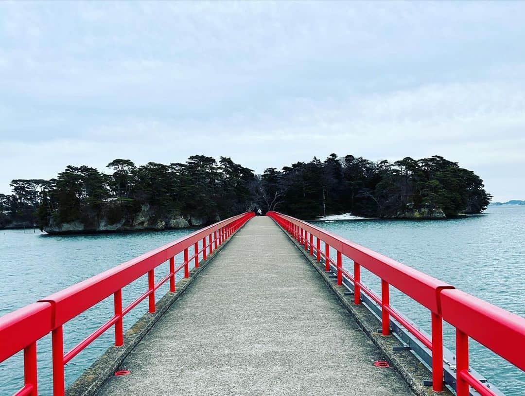 原浩大さんのインスタグラム写真 - (原浩大Instagram)「仙台行ってきた  旨味太助さんの牛タン  これを食べられる人生で良かった  ってくらい美味かった  一見怖そうな親父さんが目の前で 肉の塊を捌いてカウンターで焼いてくれる  それを女将さんらしき女性4人がじーっとみてる空間  どれが本当の女将さんか私ら素人には分かりっこない  俺にとってはこういうプチ旅行も創作活動のひとつ…かな？  (一同爆笑)」2月8日 0時27分 - haragetyou