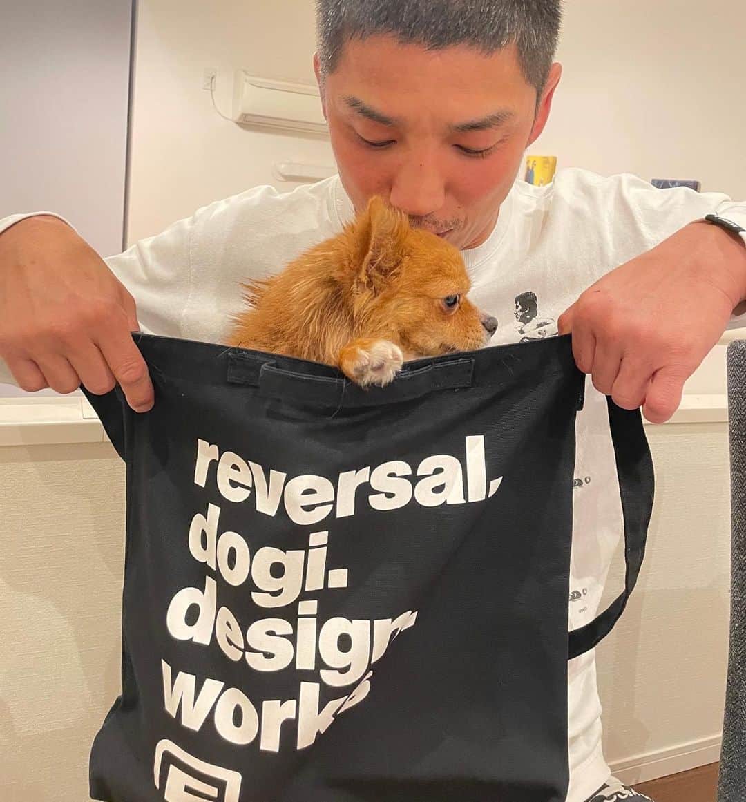 所英男のインスタグラム：「久しぶりに晩酌。リバーサルのバックを購入！これで、明日からお散歩だ！　@mochimaru1056 #リバーサル」