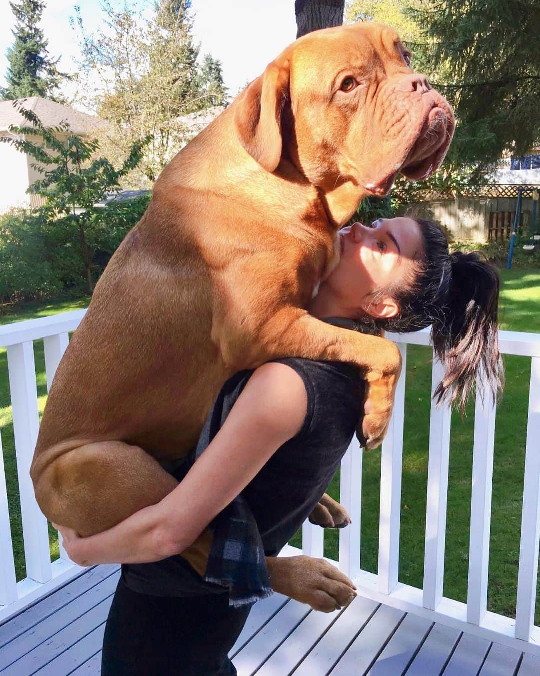 マリー・アヴゲロプロスのインスタグラム：「That one time I got a bear hug from the man that stole my ❤️! Miss you Chewy! #dogsofinstagram #dogstagram」