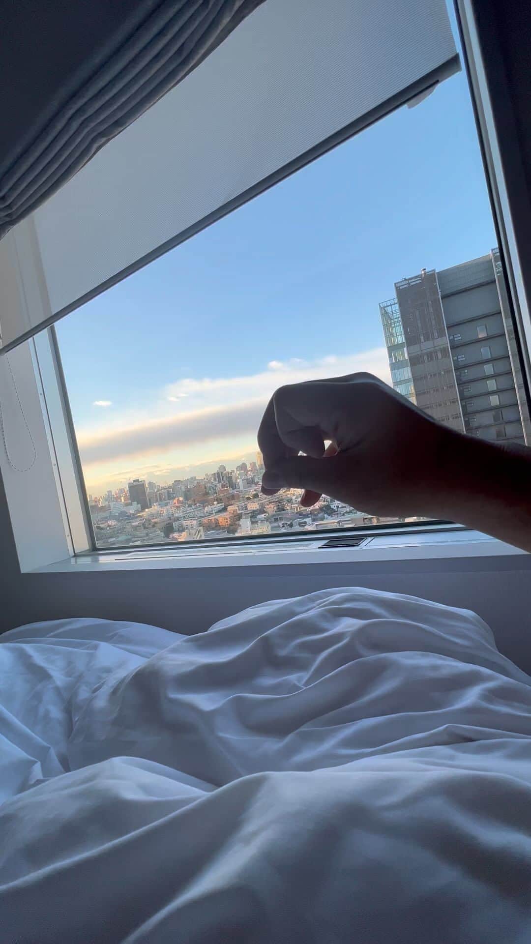 MIHIRO 〜マイロ〜のインスタグラム：「🕊おりてきた朝  #孔雀」
