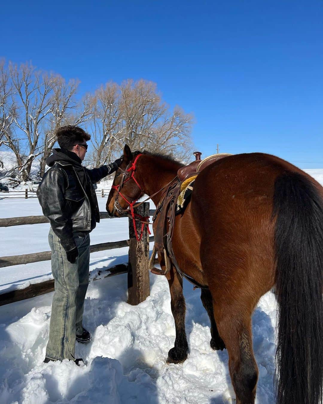 ジェームス・チャールズさんのインスタグラム写真 - (ジェームス・チャールズInstagram)「save a cowboy, ride a horse」2月8日 6時27分 - jamescharles