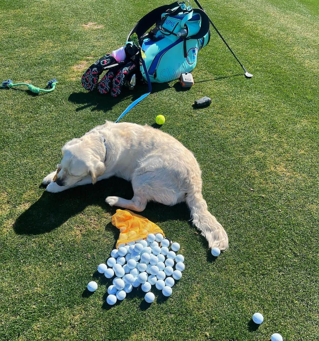 アンナ・ノルドクビストのインスタグラム：「Max first day of practice was a success… we have determined he likes birdies- the more the better. He likes annoying the other girls 😉 and lay on top of the golfballs. Also easy to bribe for me to get some peace and quiet to get some practice in. Thank you @thebirdasu for adding him as a member! ♥️♥️」