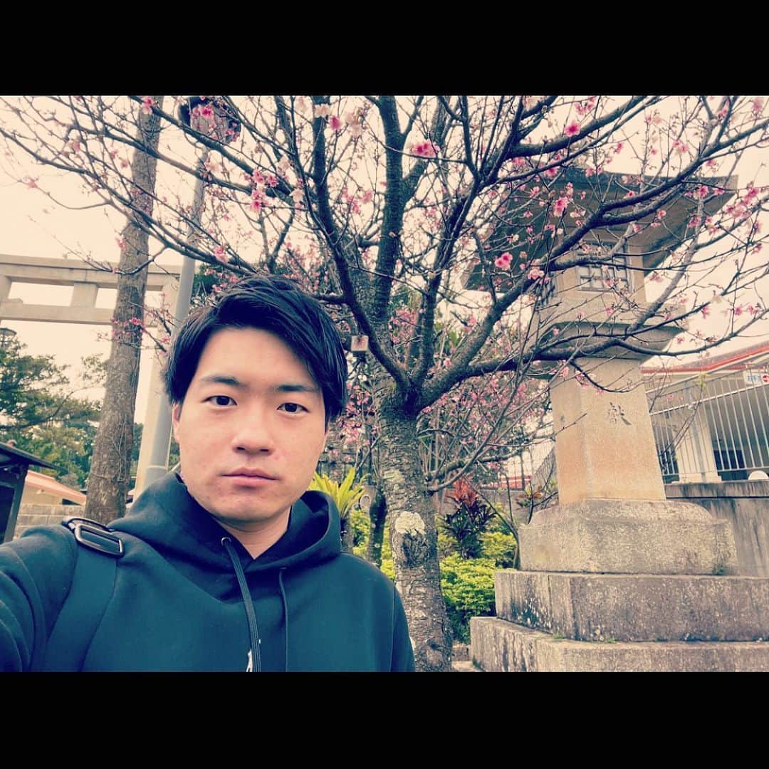 林輝彦さんのインスタグラム写真 - (林輝彦Instagram)「おはようございます。 林輝彦です。  今日は#沖縄県護国神社 を参拝しました。  ご英霊に哀悼の誠を捧げて参りました。  そして！桜が咲いていてびっくり🌸  #沖縄#沖縄県護国神社#桜」2月8日 8時47分 - satv_hayashi1117