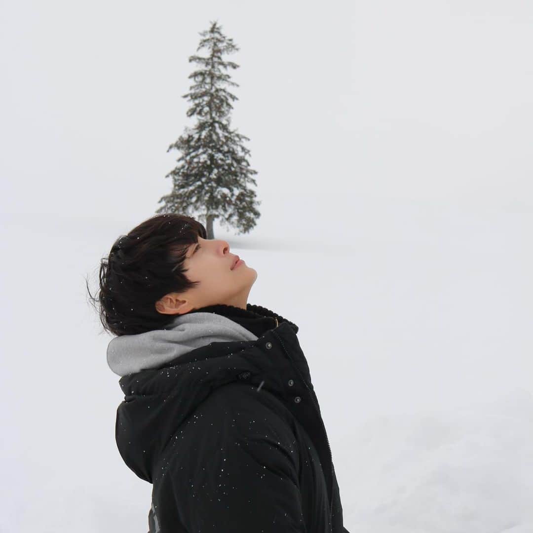 チョン・ヘインのインスタグラム：「Christmas tree in Sapporo, 北海道の冬💙」