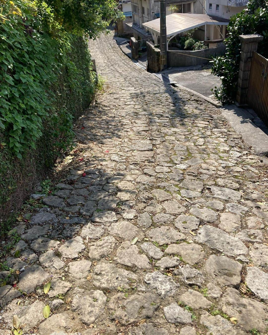 トニー・バーネットのインスタグラム：「A stroll along the Kinjo Stone Road. In use since the 16th century #okinawa #naha #kinjostoneroad」