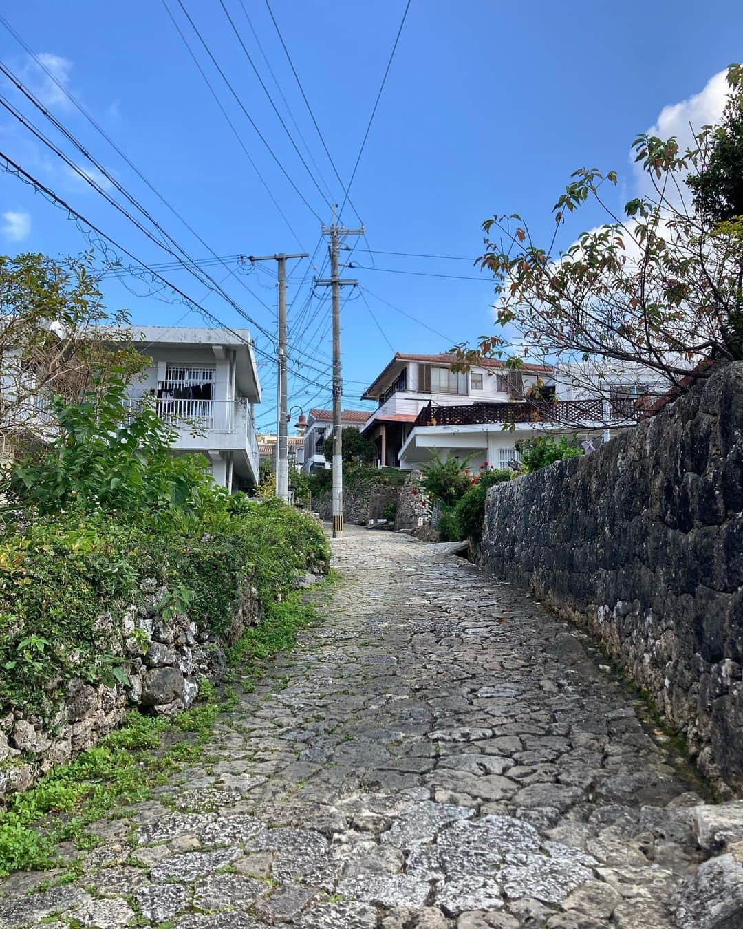 トニー・バーネットさんのインスタグラム写真 - (トニー・バーネットInstagram)「A stroll along the Kinjo Stone Road. In use since the 16th century #okinawa #naha #kinjostoneroad」2月8日 16時23分 - tony.barnette